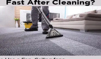 how to dry carpet fast after cleaning