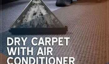 dry carpet with air conditioner