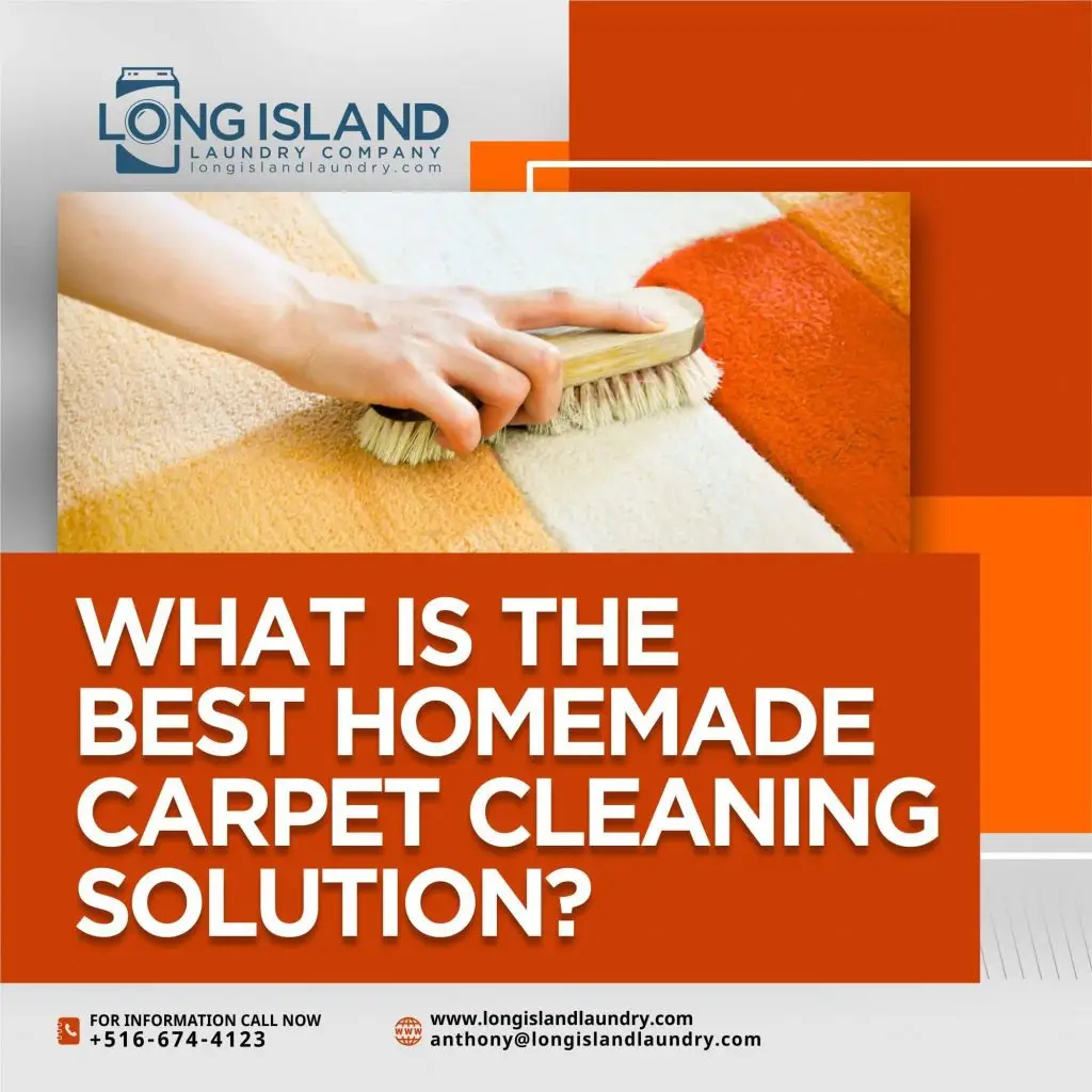 What is the Best Homemade Carpet Cleaning Solution