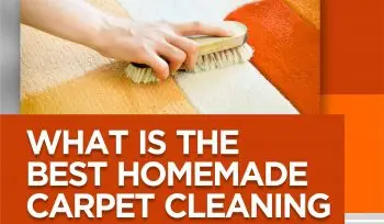 What is the Best Homemade Carpet Cleaning Solution