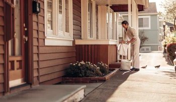 Sea Cliff laundry pickup and delivery.