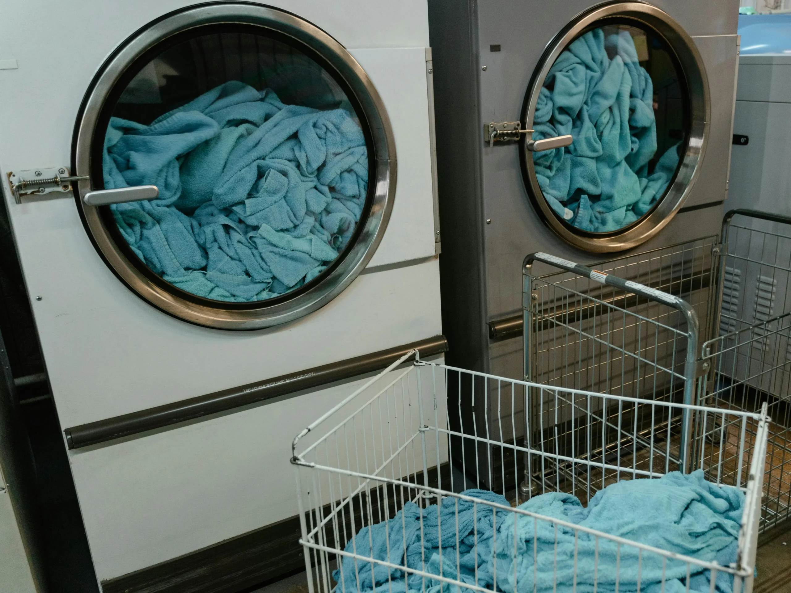 Same-Day vs. Next-Day Turnaround — What to Expect
